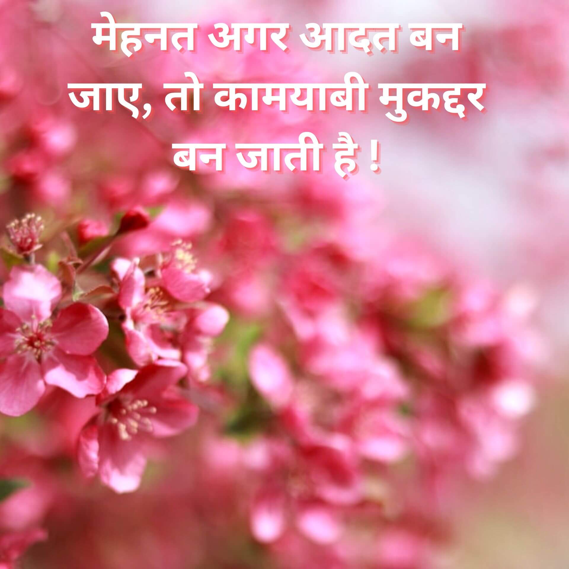 Hindi Motivational Quotes photo Download Free 2