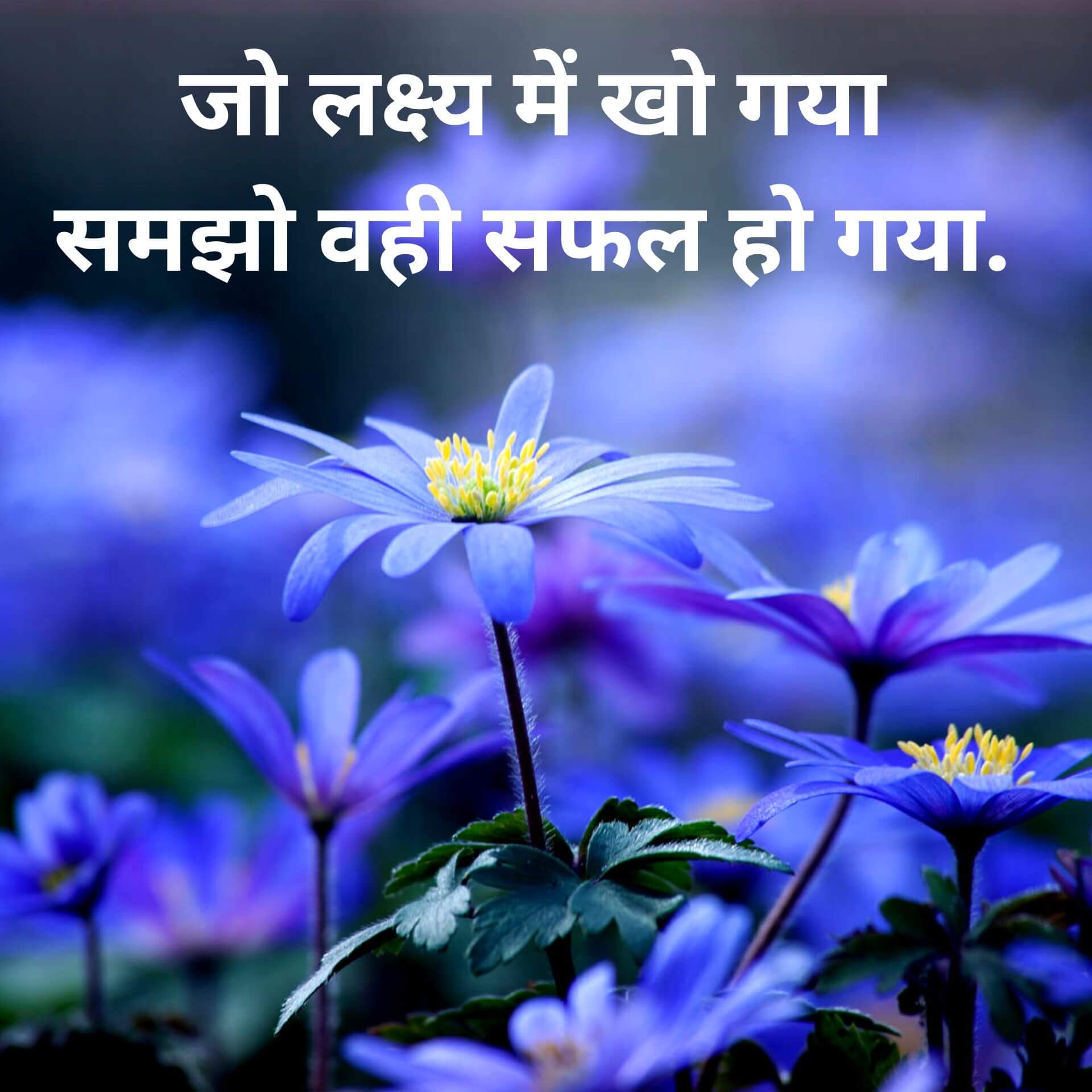 Hindi Motivational Quotes photo New Download