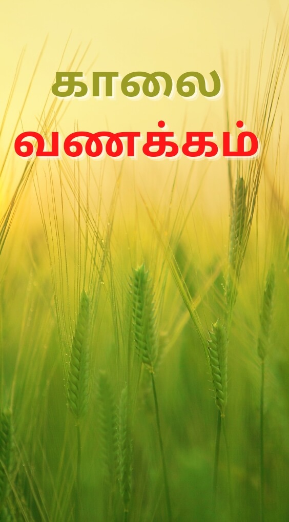 New HD Tamil Good Morning Wallpaper Pics Download 2023