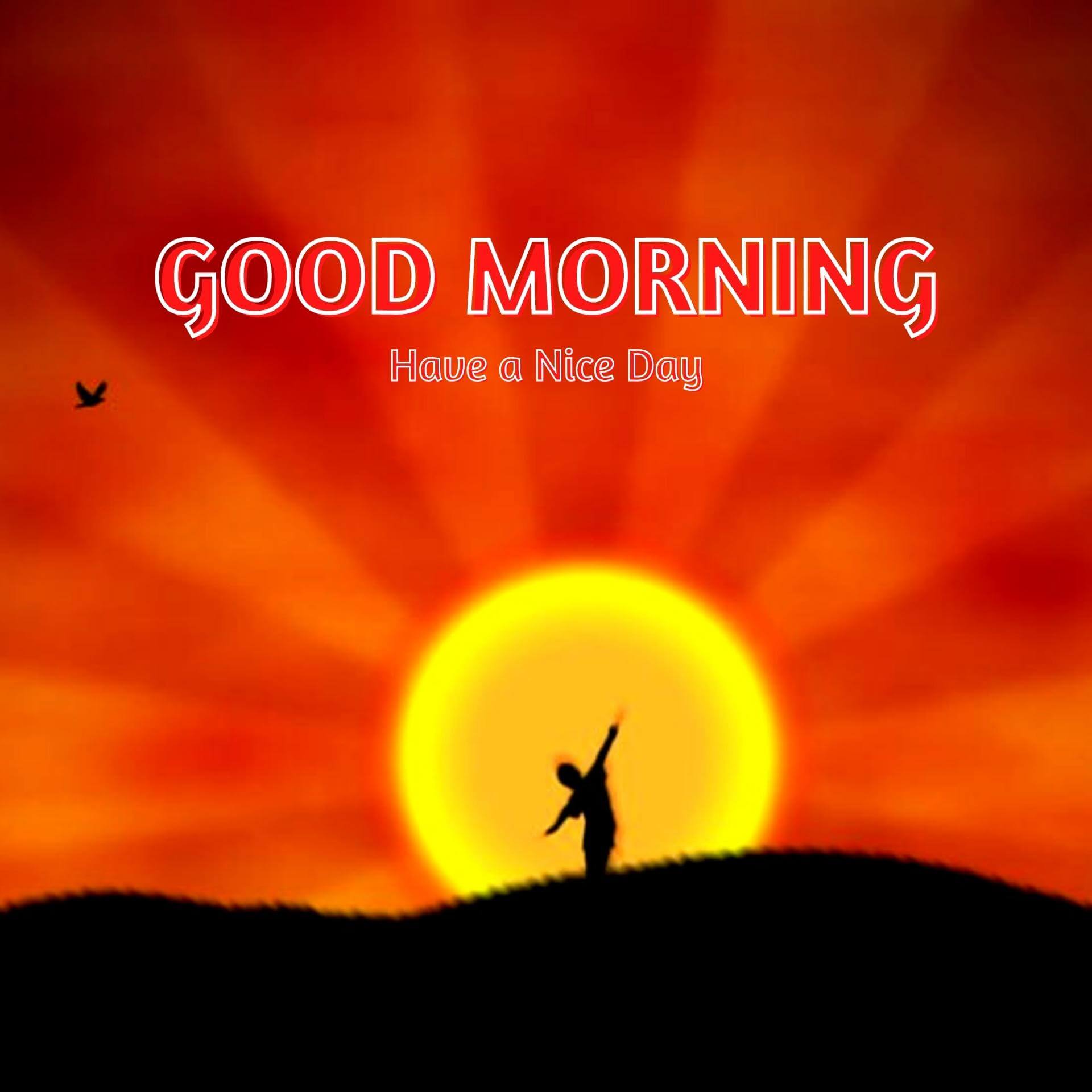 Sunrise Good Morning Wallpaper Free Download for Whatsapp