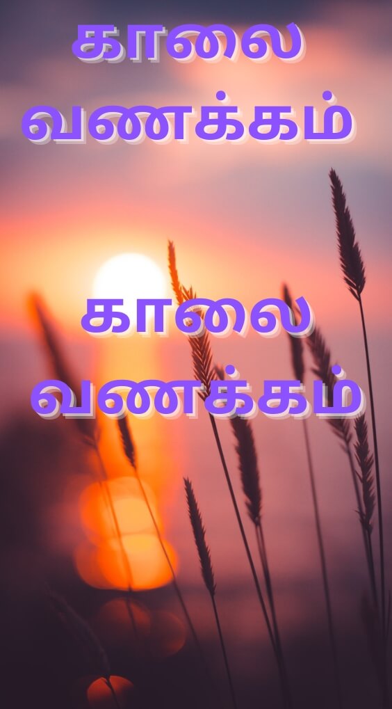 Tamil Good Morning Pics Wallpaper New Download
