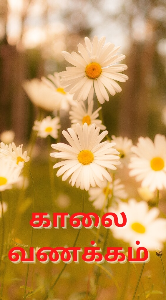 Tamil Good Morning Wallpaper Free Download 3