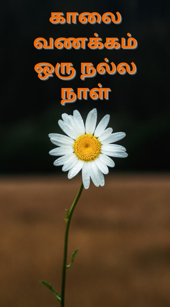 Tamil Good Morning photo pics Download
