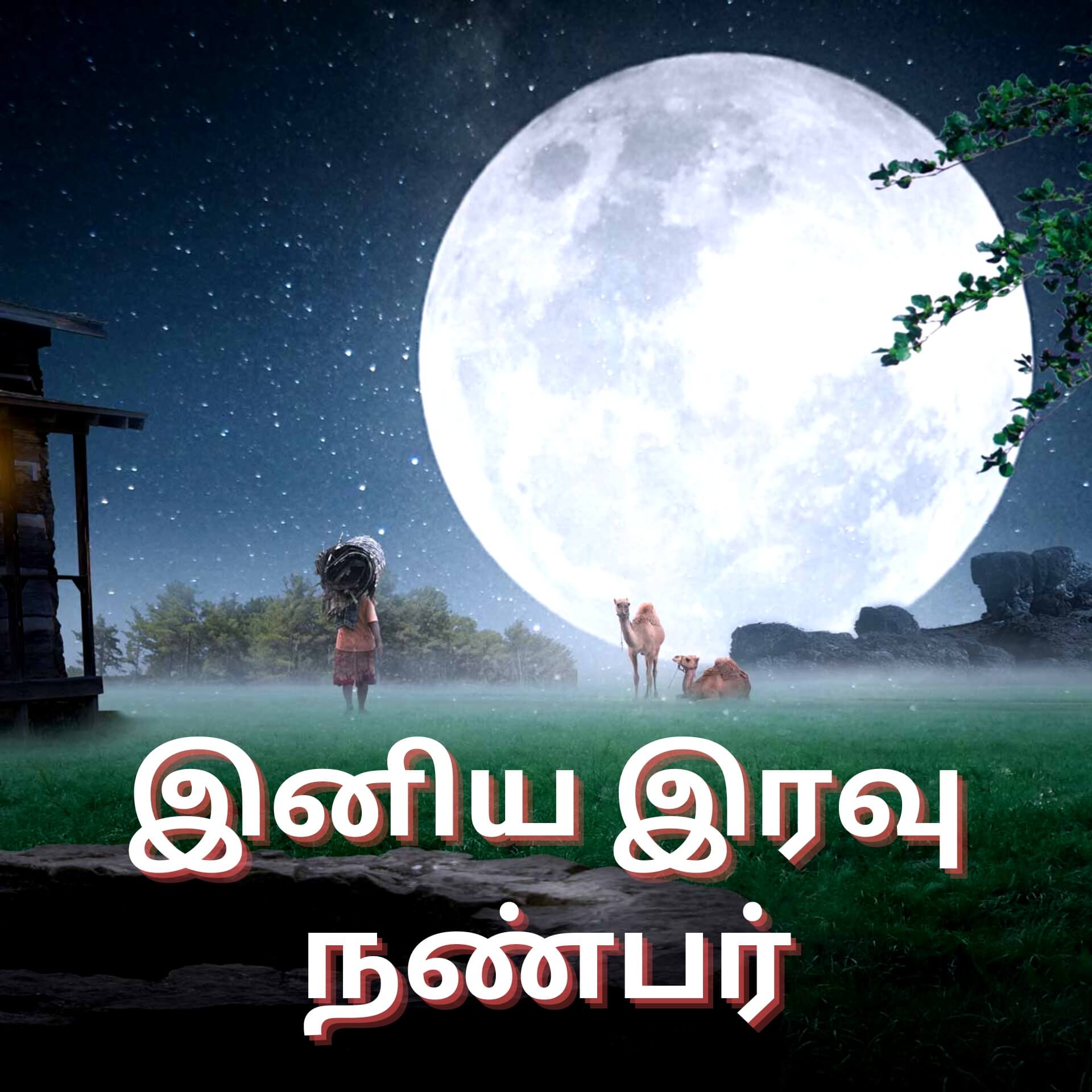 Tamil Good Night Pics images Free Download