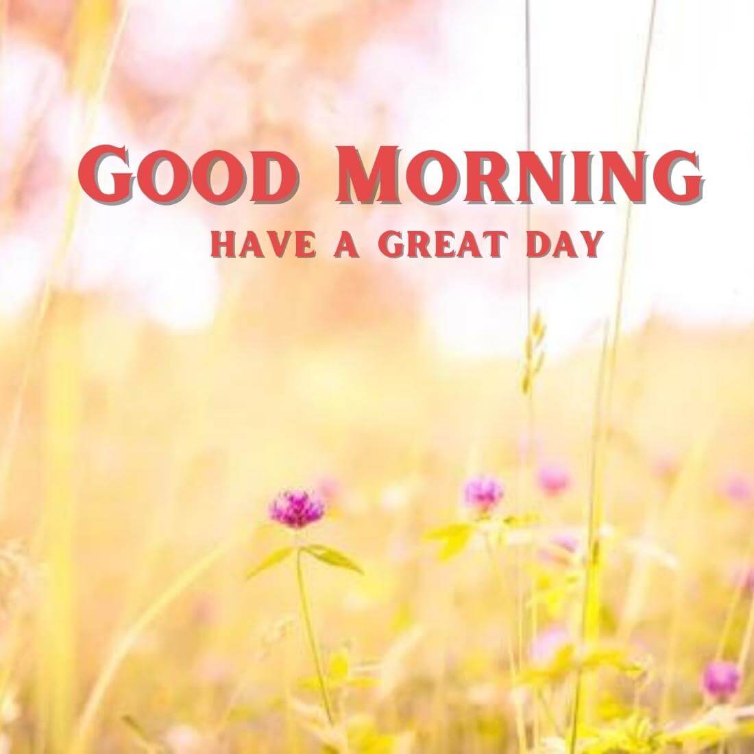 Wonderful Good Morning Wallpaper Free Download for Friend