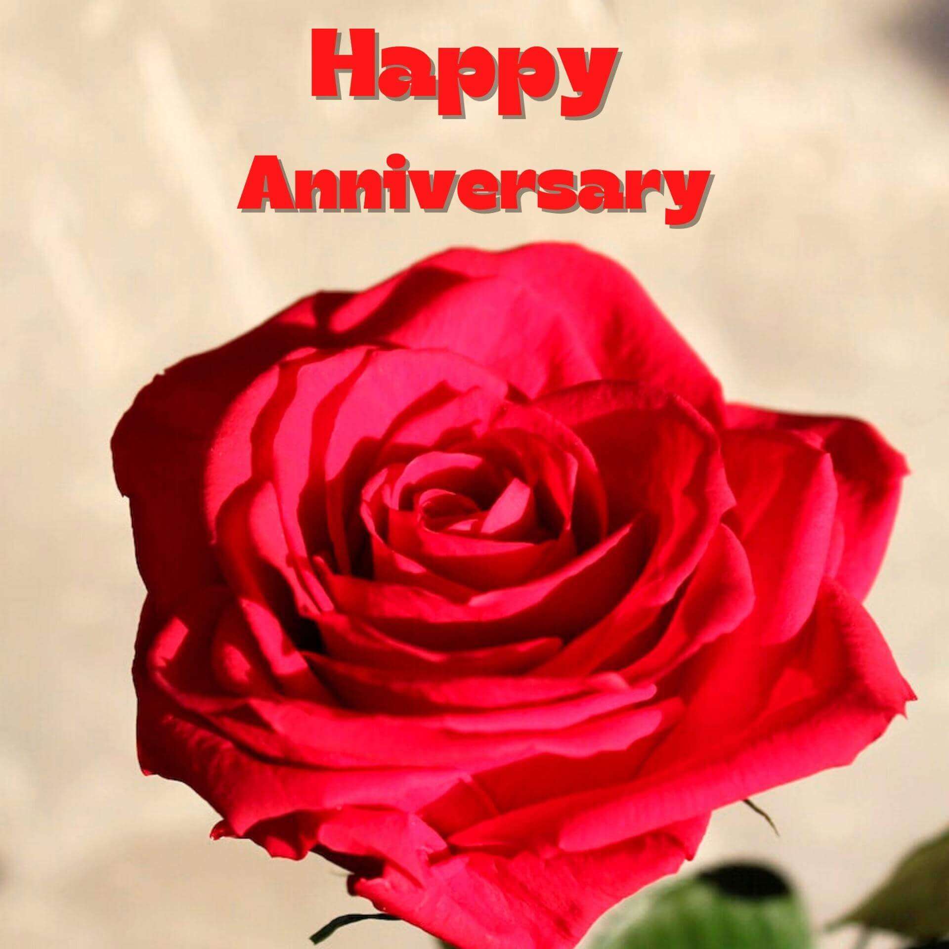 happy anniversary images Photo New Download for Whatsapp
