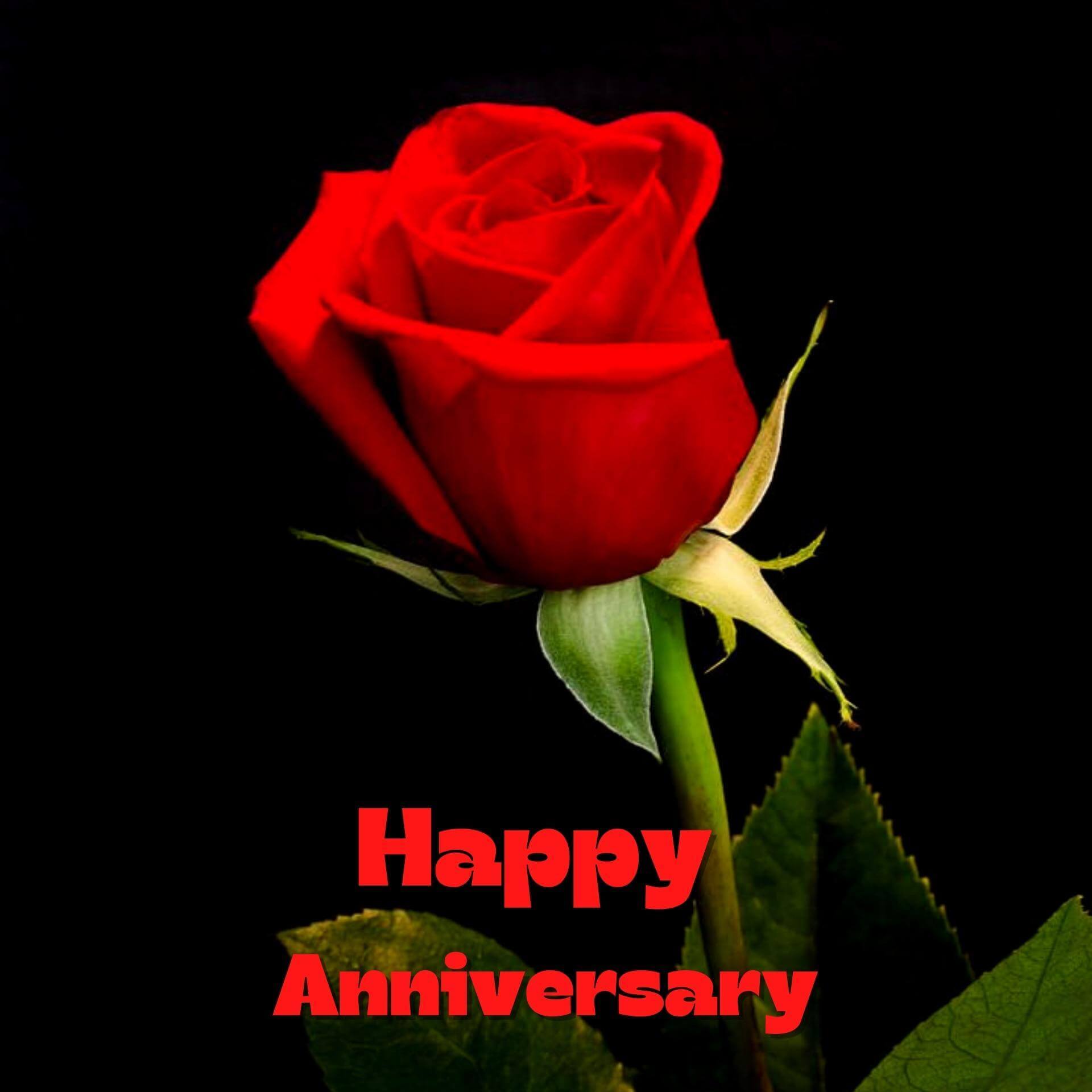 happy anniversary images Pics Pictures for Whatsapp Facebook