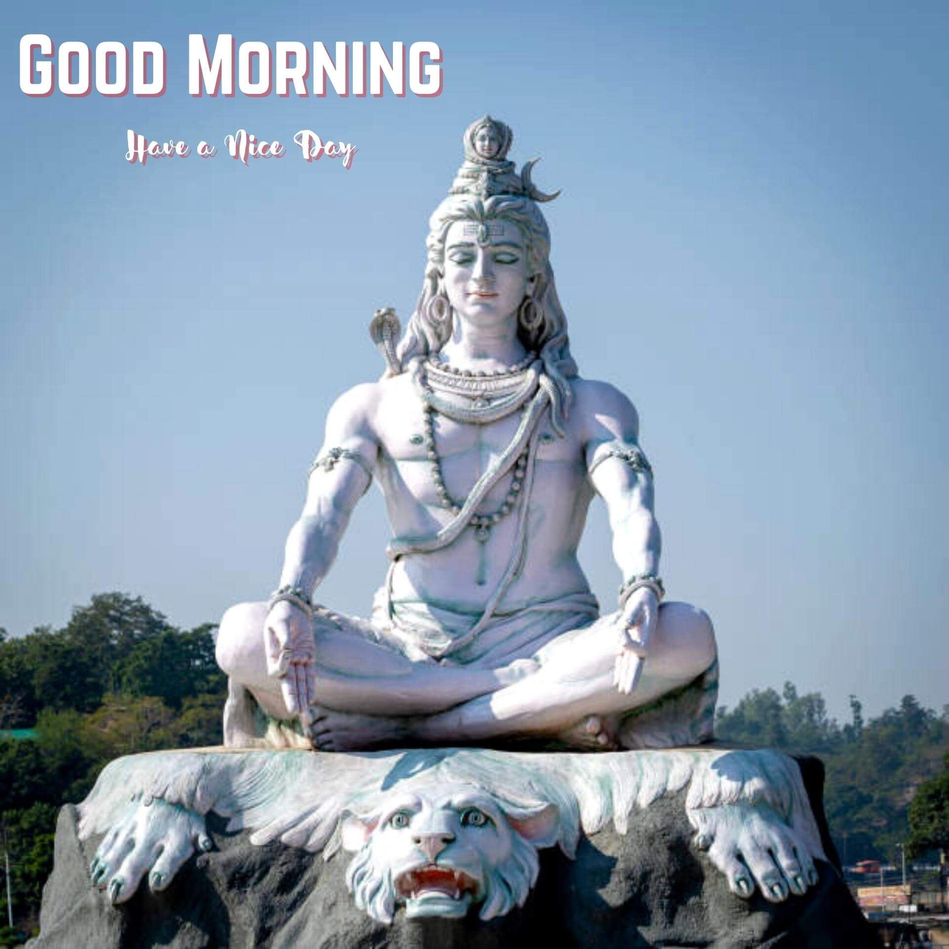 Shiva Good Morning Photo HD Free
