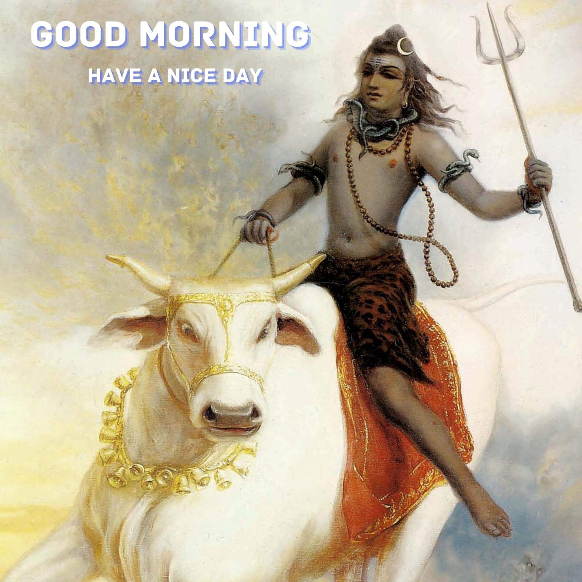 Shiva Good Morning Pics Download 2023