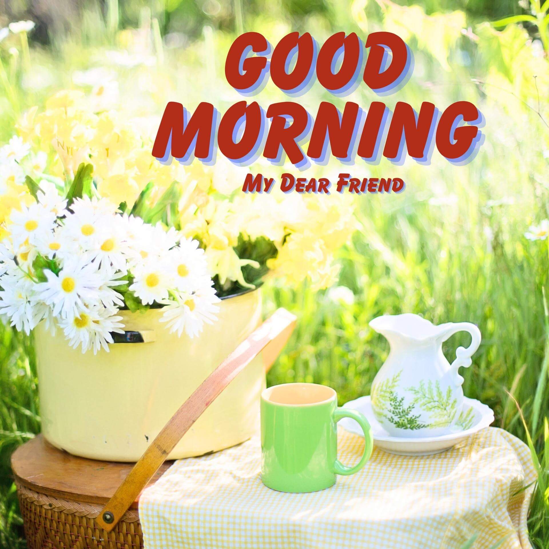 Fresh Good Morning Images Wallpaper for Facebook
