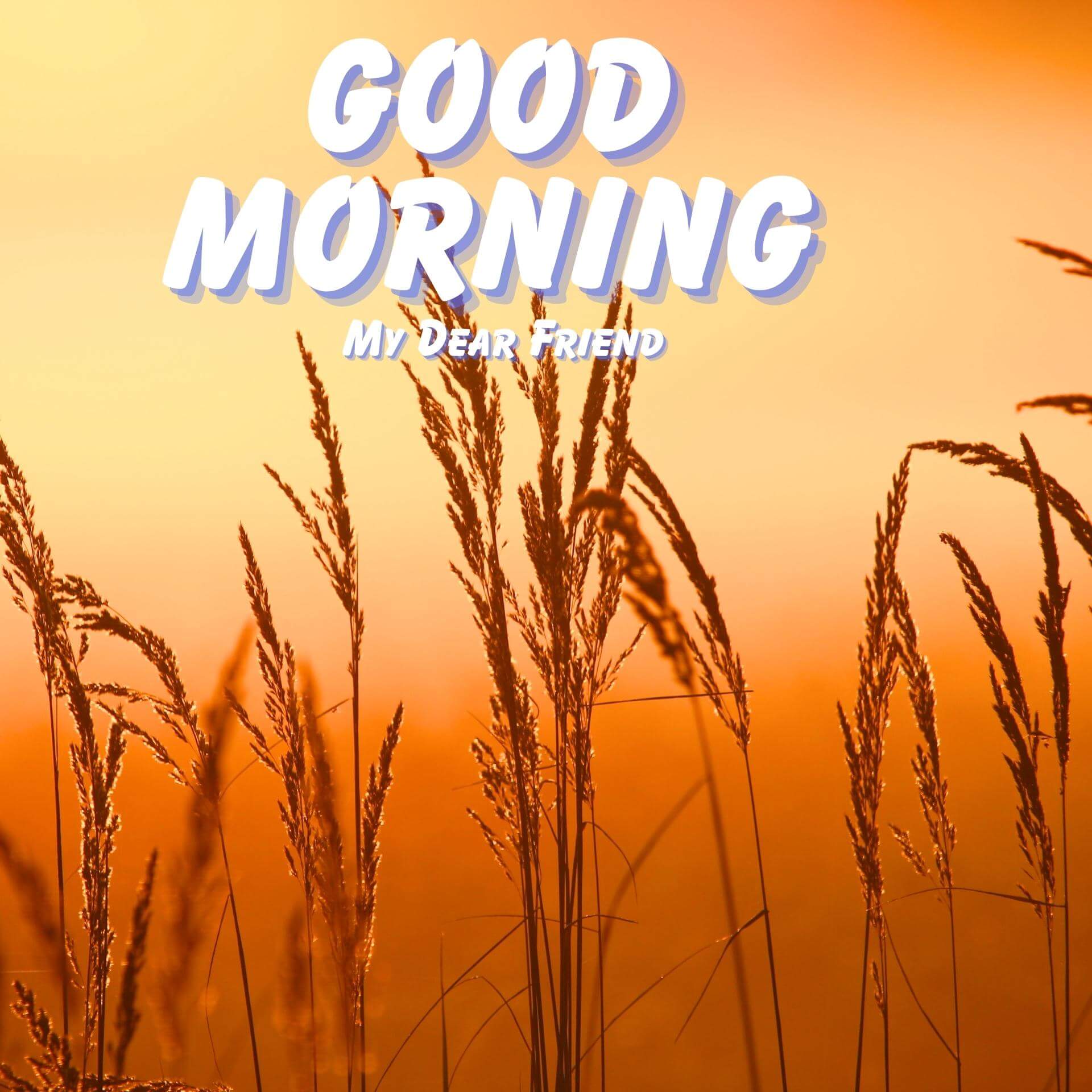 Good Morning Pics Wallpaper With Sunrise