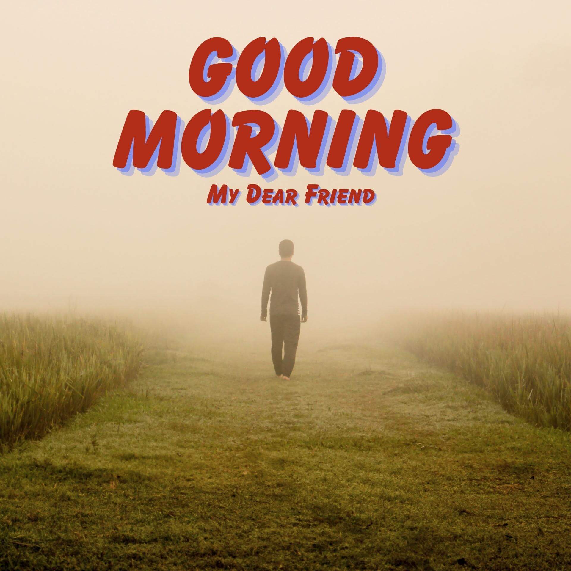 Good Morning Wallpaper HD Download 2023