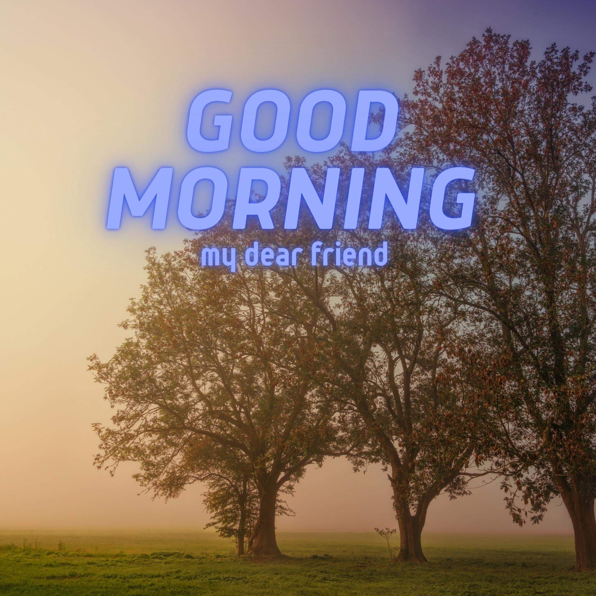 Good Morning Wallpaper Images Download for Best Friend