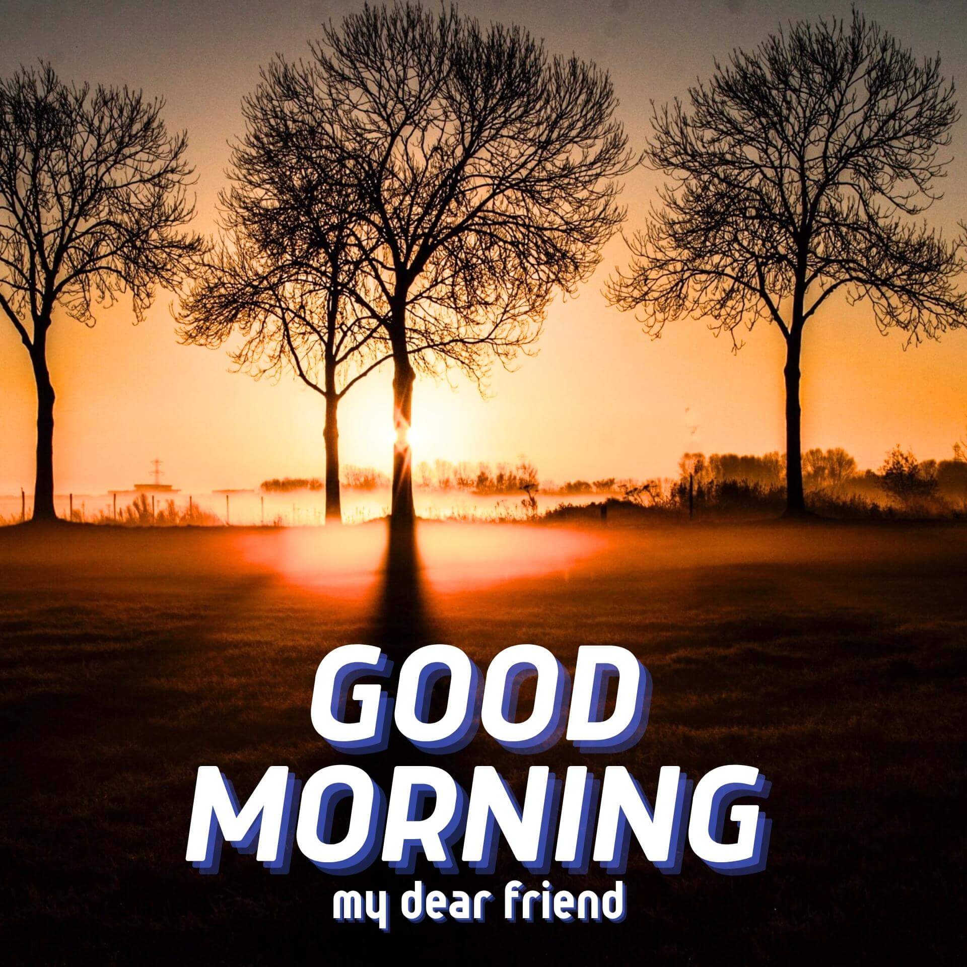 free New Good Morning Images Download for Facebook