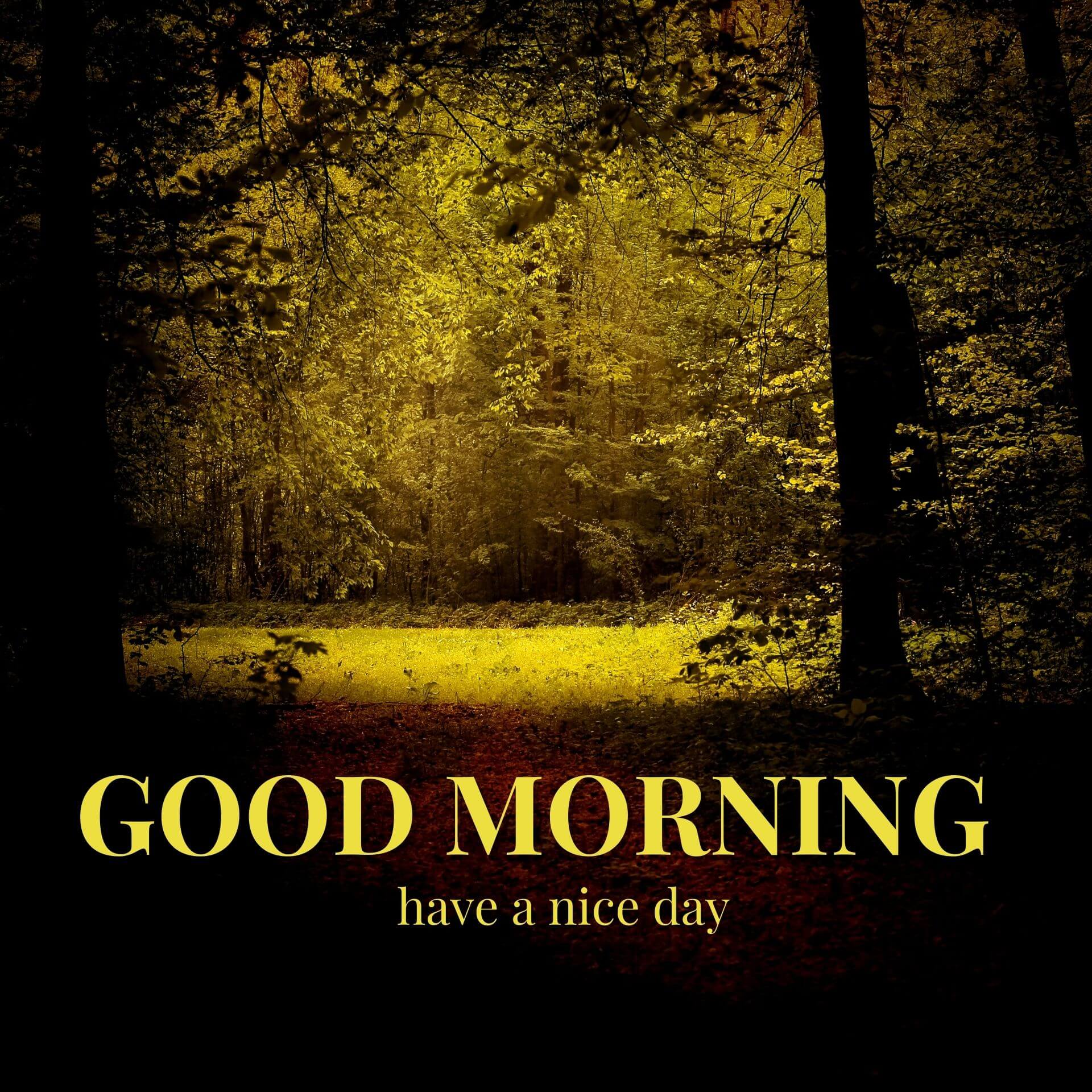 Nature Good Morning Wallpaper Free Download 3