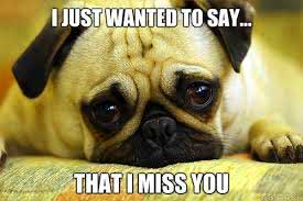New I miss you Iamges Pictures Images Photo Pics Wallpaper For Whatsaap Download