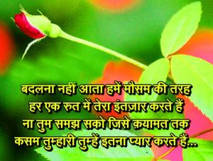 Hindi Love Shayari Images Photo Wallpaper Pictures HD Download for Whatsaap