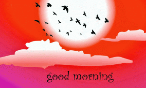 Sunday Good Morning Wallpaper Pictures 