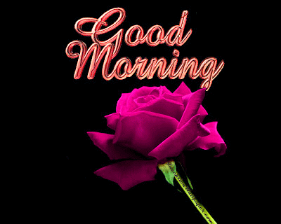 341+ Morning Wishes Images With Red Rose
