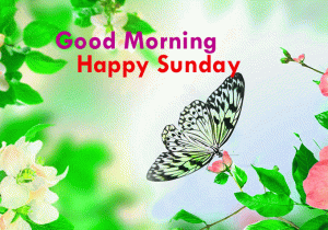 Sunday Good Morning Images Pictures Download 