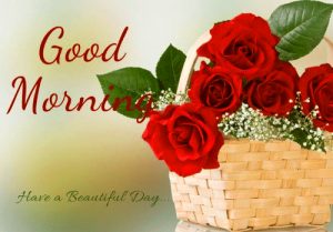 Good Morning Monday Images Wallpaper With Red Rose