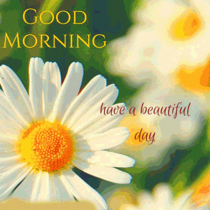 Good Morning Wishes Images Wallpaper HD Download