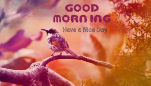Good Morning Monday Images Wallpaper HD Download For Facebook