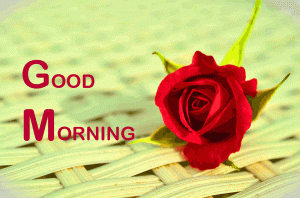 Good Morning Wishes Images Pics