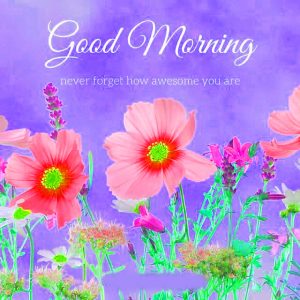 Good Morning Images Photo Pics With Flower