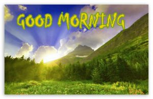 Good Morning Status Images Photo Pictures Download