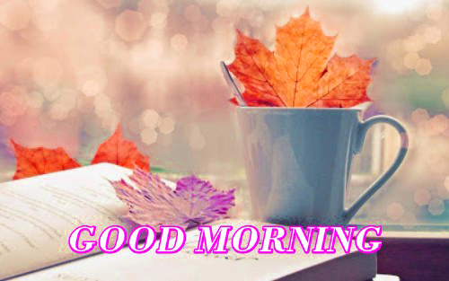 141+ Good Morning Tea Cup Photos Images Wallpaper Download
