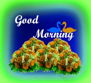 Gud Morning Pictures Images Download