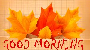 Good Morning Status Photo Pictures Download