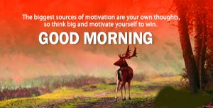 Gud Morning Pictures Photo With Quotes