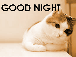 Cute Good Night Images Photo Pics Free Download