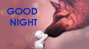 Cute Good Night Images Photo Pictures In HD Download