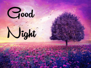 Beautiful Good Night Wishes Images wallpaper pictures photo free hd download