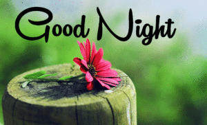 Beautiful Good Night Wishes Images wallpaper photo download