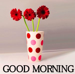 Good Morning Images Photo Wallpaper Free New
