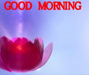 Good Morning Images Wallpaper Photo Pics Free For FB
