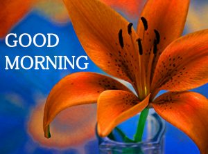 Good Morning Images Wallpaper Pic for Facebook