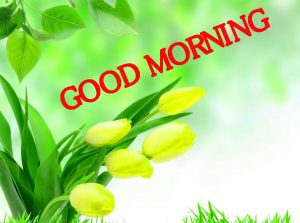 Good Morning Images Pictures Wallpaper Pics
