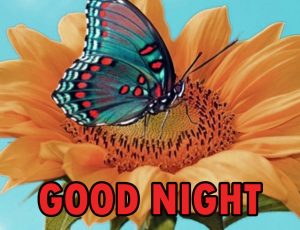 421+ Beautiful Good Night Wishes Images Pics Wallpaper for Whatsapp ...