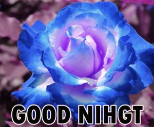 Beautiful Good Night Wishes Images Photo for Lover HD Download