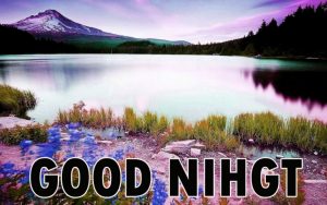 Beautiful Good Night Wishes Images Download