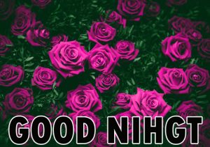 Beautiful Good Night Wishes Images Wallpaper for Whatsapp