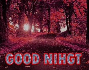 Beautiful Good Night Wishes Images Wallpaper Pictures Free Download