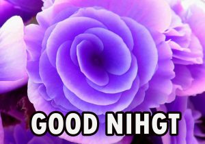 Beautiful Good Night Wishes Images Photo for Wallpaper Download
