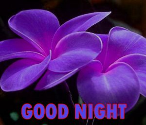 421+ Beautiful Good Night Wishes Images Pics Wallpaper for Whatsapp ...
