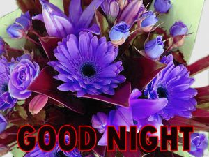 Beautiful Good Night Wishes Images Wallpaper Pic Free Download